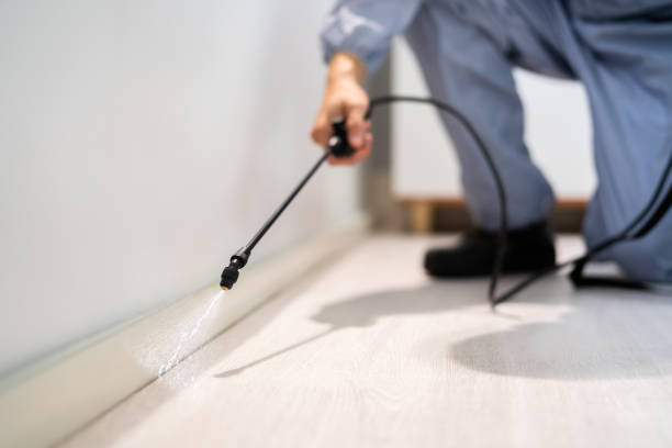 Licensed Termite Control service in Mill Bay, AK - Nex Pest Control