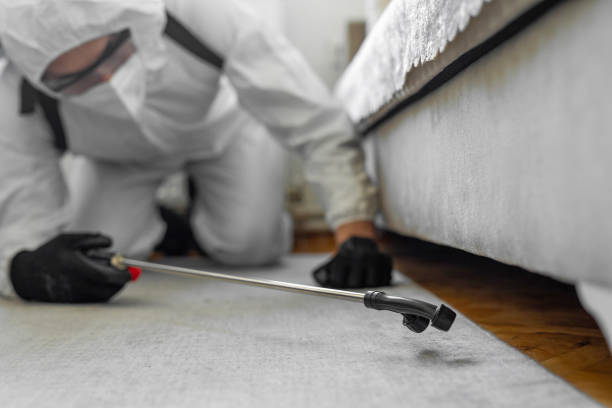 Professional Termite Control technician working in Mill Bay, AK
