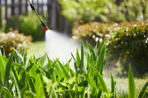 24/7 Emergency Termite Control experts in Mill Bay, AK