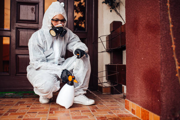 Reliable Termite Control contractor in Mill Bay, AK by Nex Pest Control