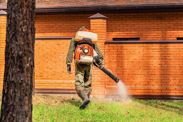 Top rated local Termite Control specialists in Mill Bay, AK